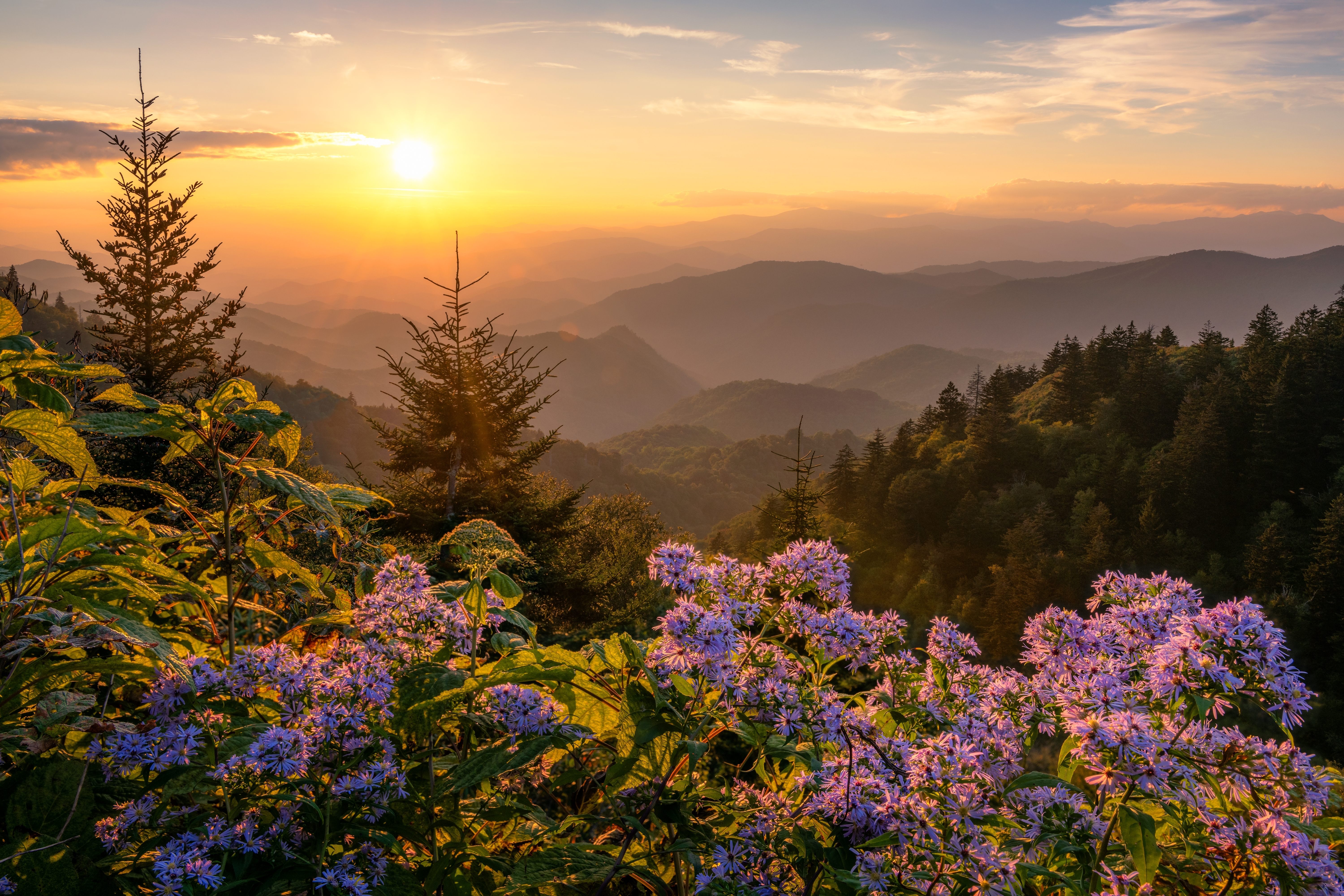 shutterstock_2481201371_1.jpg